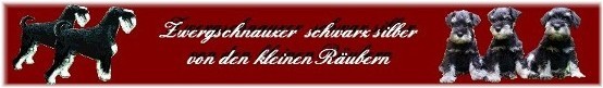 Banner Kleine Ruber